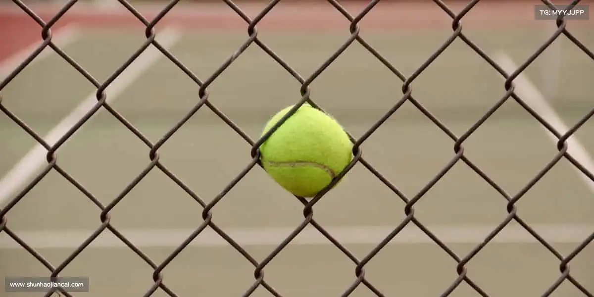 <strong>yy易游</strong>🧗‍♂️向上攀登，每一步都是新高度！